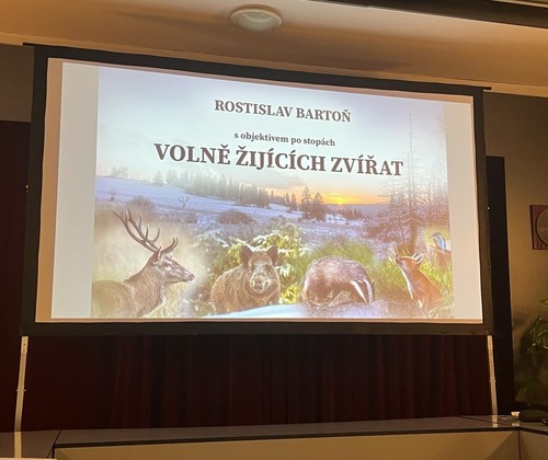 S objektivem po stopách volně žijících zvířat